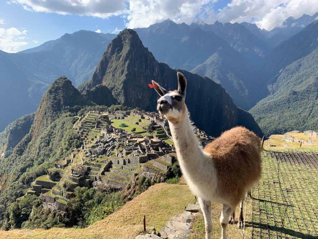 Trail Hike to Machu Picchu