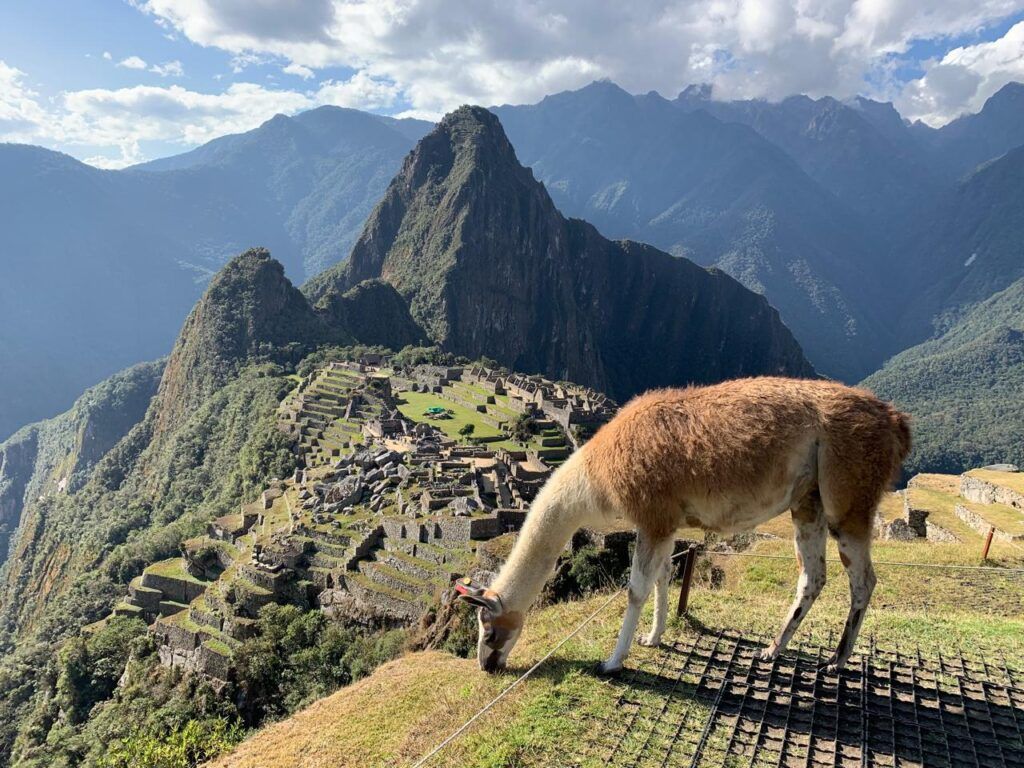 Machu Picchu offers two main visitor circuits. Circuit 1 is a high-elevation route, ideal for travelers seeking the most spectacular panoramic views and the Classic postcard photo of Machu Picchu.