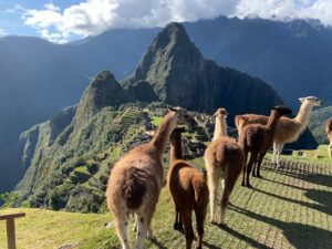 Inca Trail 4 Day To Machu picchu