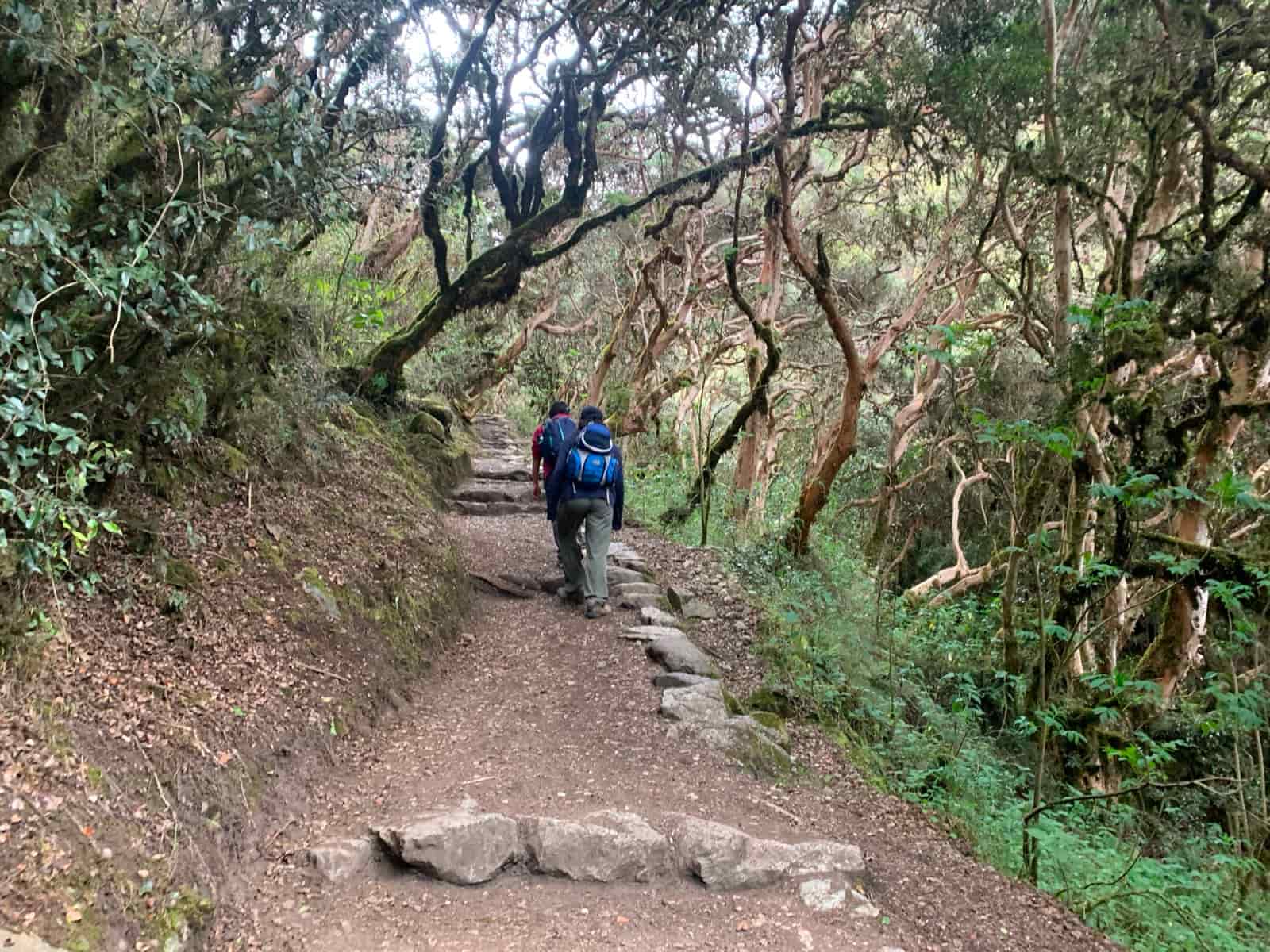 Best Time to Hike the Inca Trail to Machu Picchu for Clear Views
