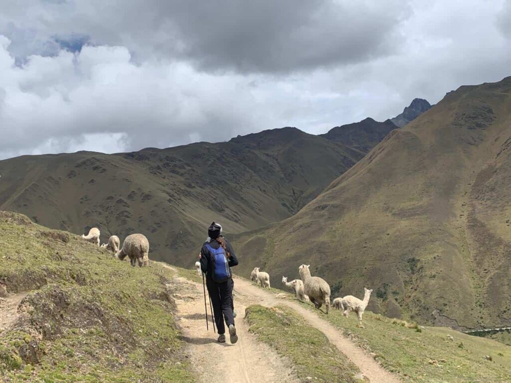 lares trek + Short inca trail