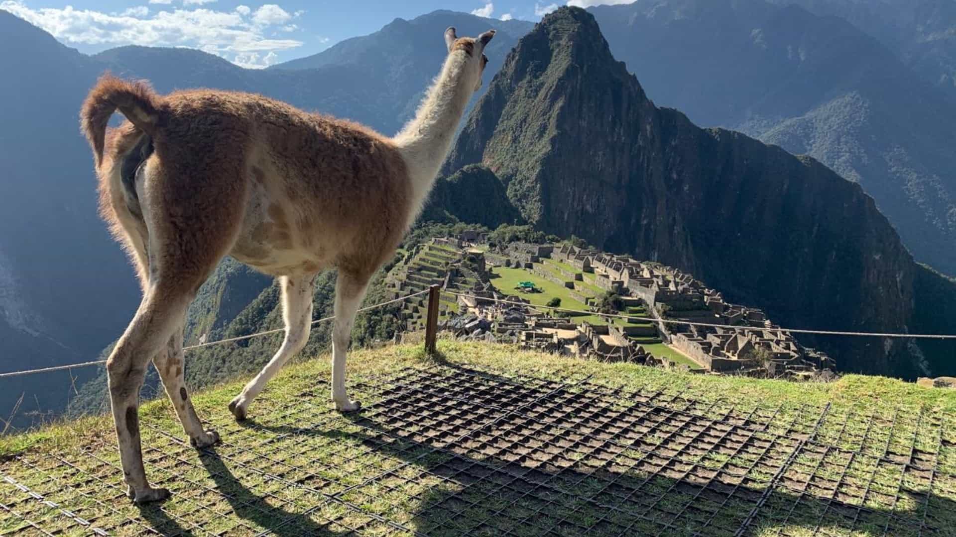 Inca Trail Tickets to Machu picchu 2026