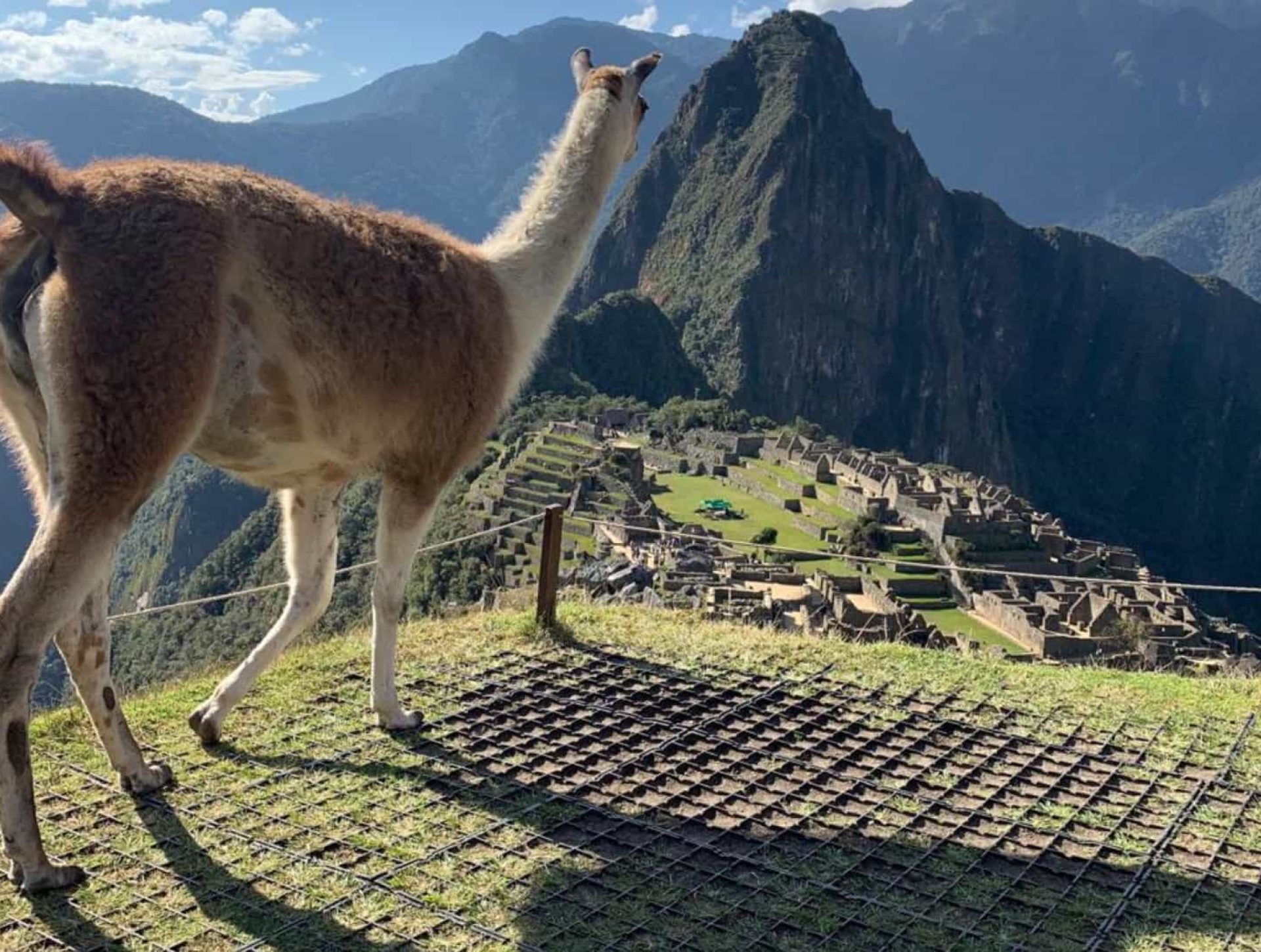 Inca Trail Tickets to Machu picchu 2026