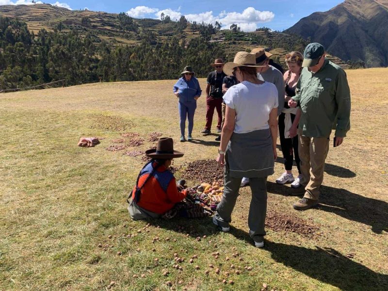 Sacred Valley experience to Machu picchu